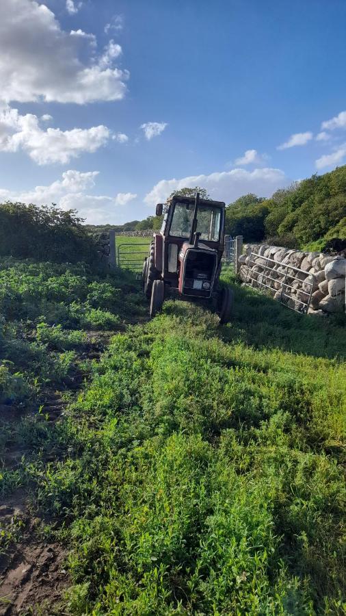 Ballykeel Farm, Mourne Mountains Ballymartin ภายนอก รูปภาพ